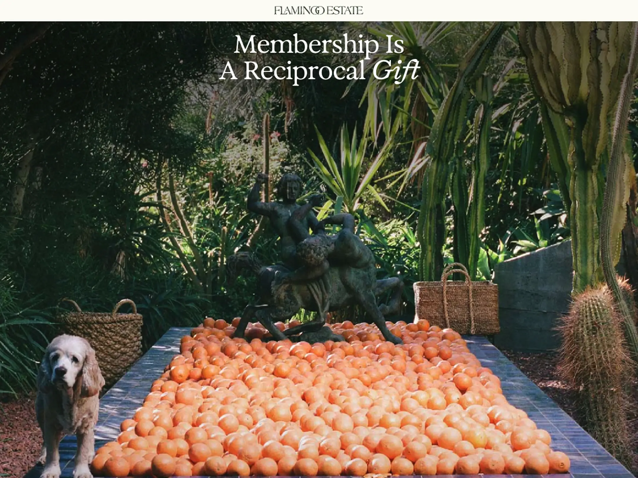Flamingo Estate website screenshot