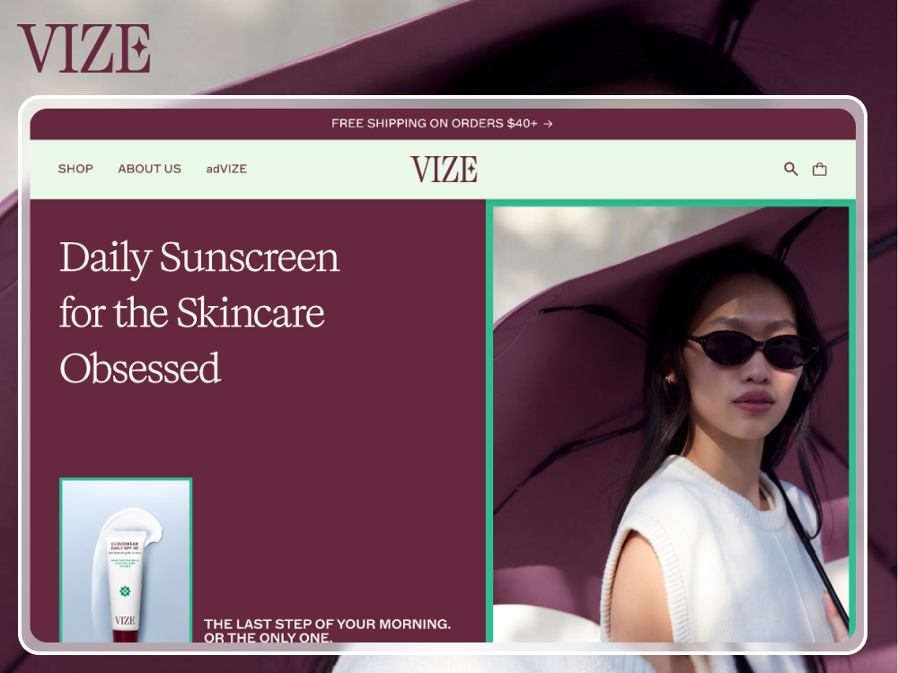 Vize website screenshot
